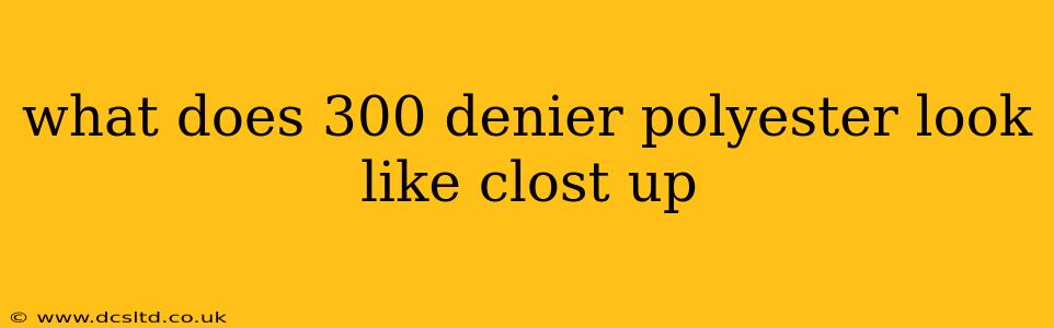 what does 300 denier polyester look like clost up