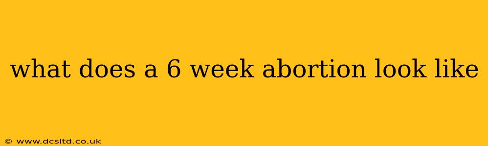 what does a 6 week abortion look like