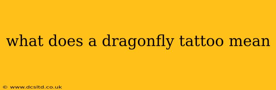 what does a dragonfly tattoo mean