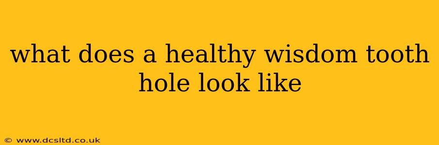 what does a healthy wisdom tooth hole look like