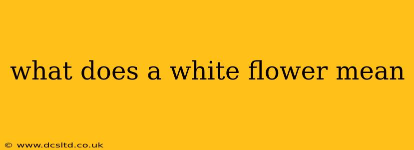 what does a white flower mean
