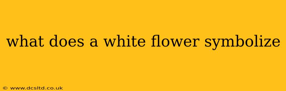 what does a white flower symbolize