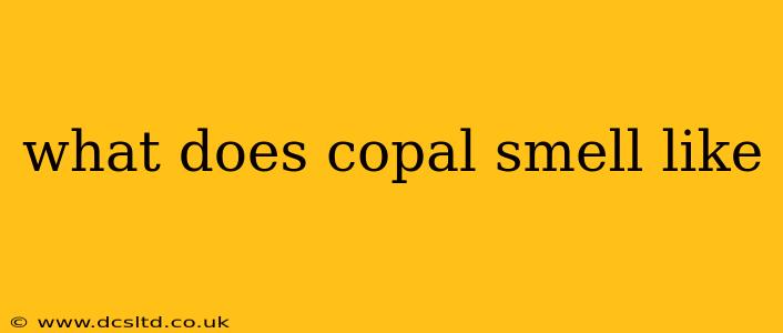 what does copal smell like