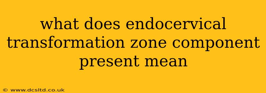 what does endocervical transformation zone component present mean
