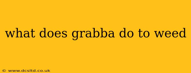 what does grabba do to weed