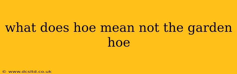 what does hoe mean not the garden hoe