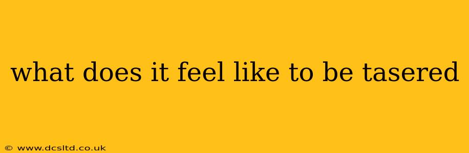 what does it feel like to be tasered