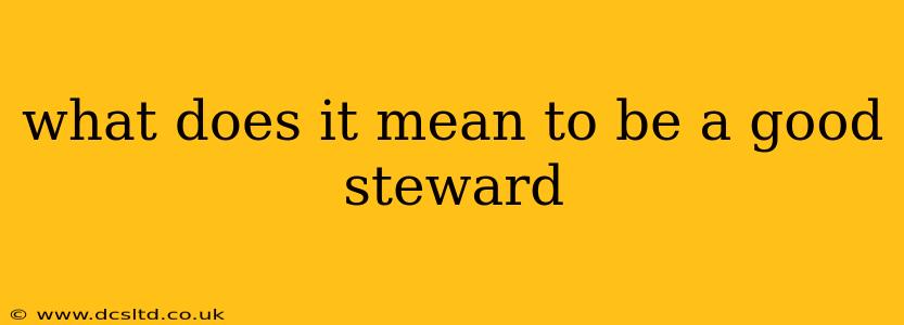 what does it mean to be a good steward