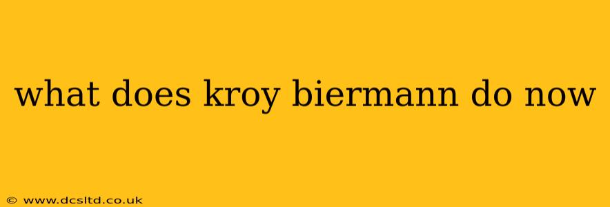 what does kroy biermann do now