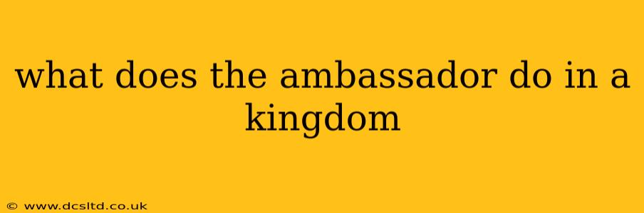 what does the ambassador do in a kingdom