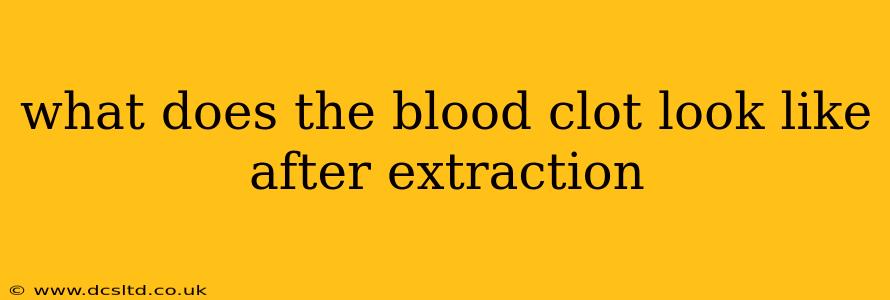 what does the blood clot look like after extraction