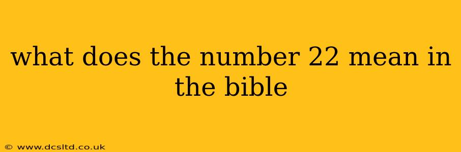 what does the number 22 mean in the bible