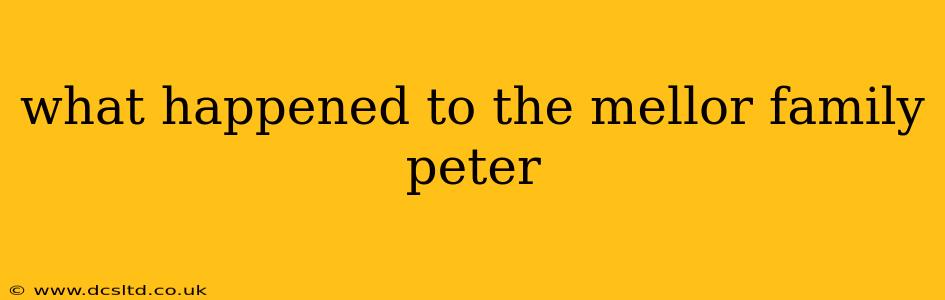 what happened to the mellor family peter