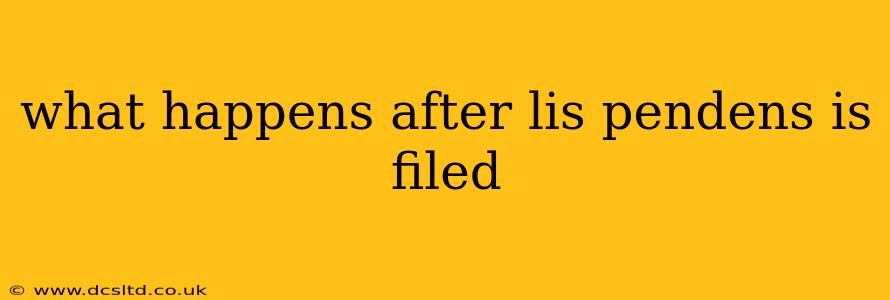 what happens after lis pendens is filed