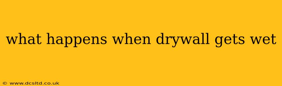 what happens when drywall gets wet