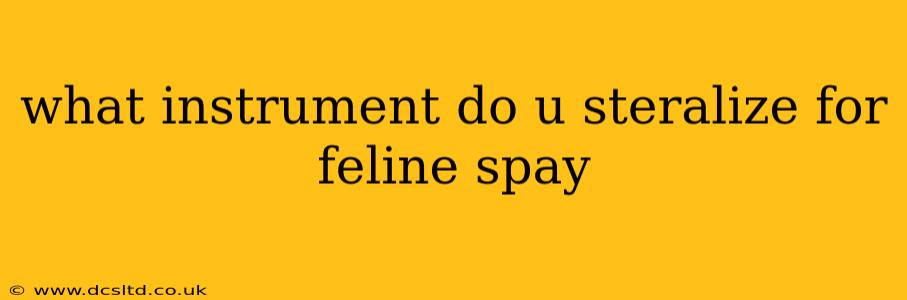 what instrument do u steralize for feline spay
