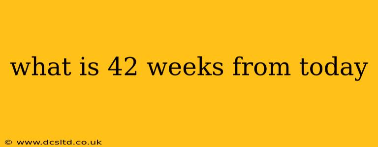 what is 42 weeks from today