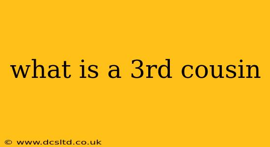 what is a 3rd cousin