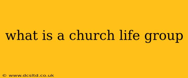 what is a church life group
