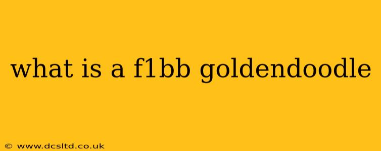 what is a f1bb goldendoodle