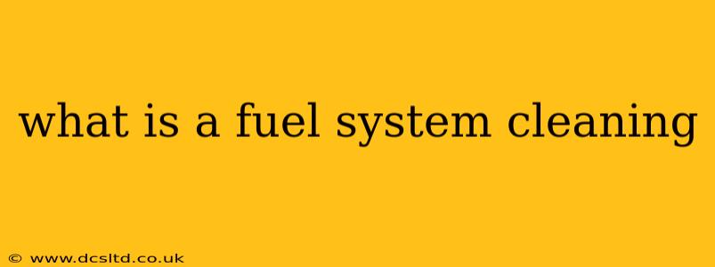 what is a fuel system cleaning