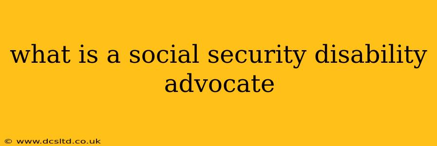 what is a social security disability advocate