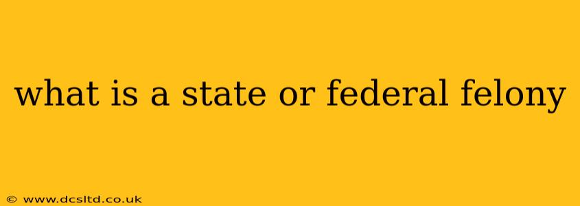what is a state or federal felony