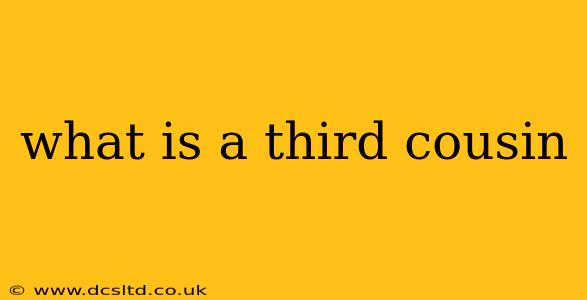 what is a third cousin