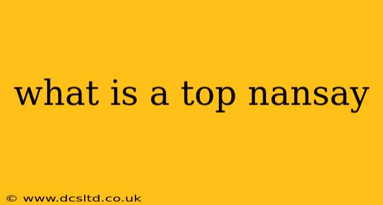 what is a top nansay