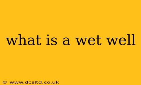 what is a wet well