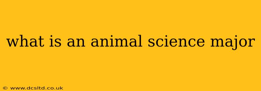 what is an animal science major