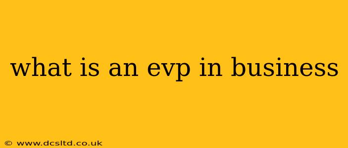 what is an evp in business