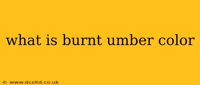 what is burnt umber color