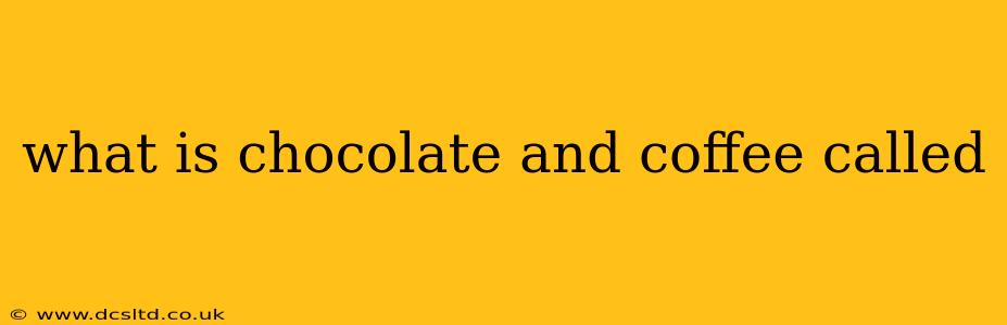 what is chocolate and coffee called