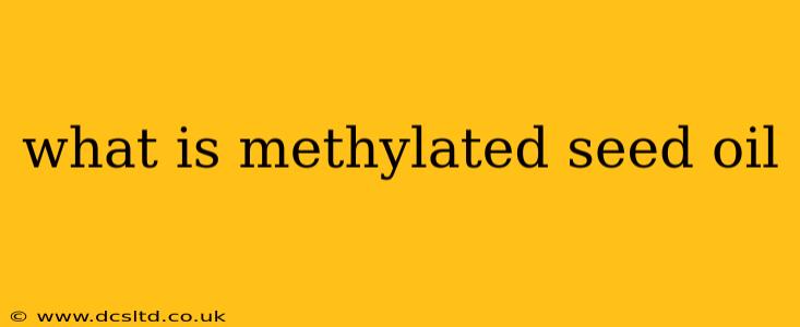 what is methylated seed oil
