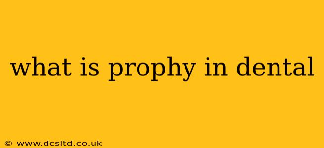 what is prophy in dental