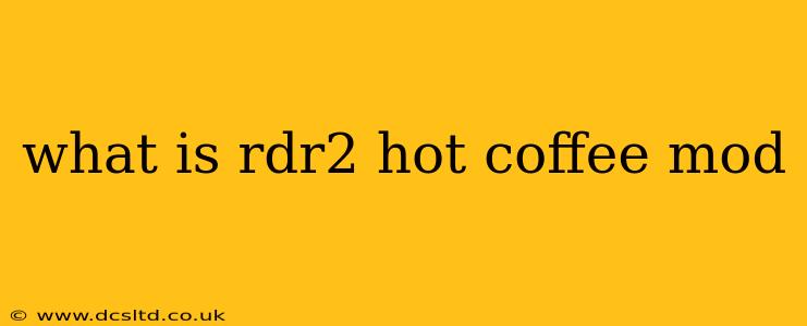 what is rdr2 hot coffee mod