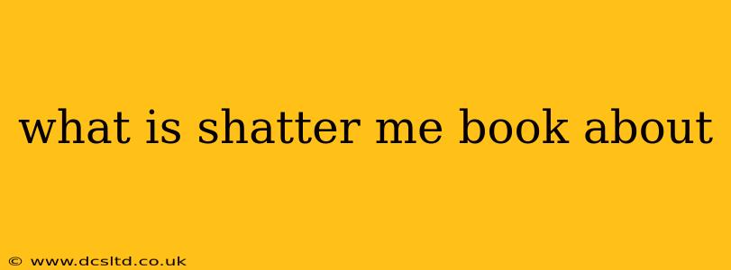 what is shatter me book about