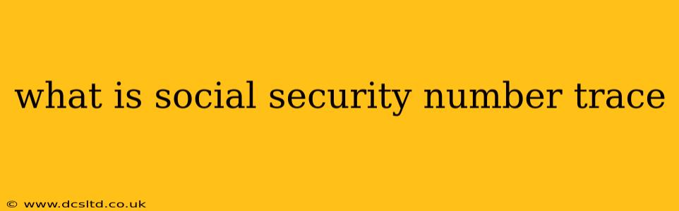 what is social security number trace
