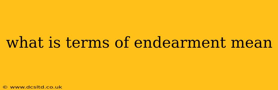 what is terms of endearment mean