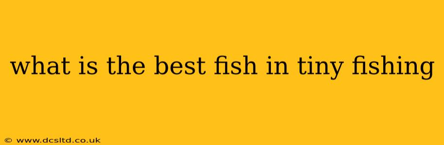 what is the best fish in tiny fishing