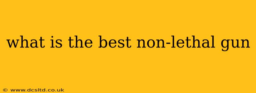 what is the best non-lethal gun