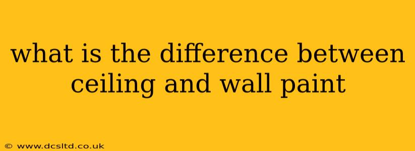 what is the difference between ceiling and wall paint