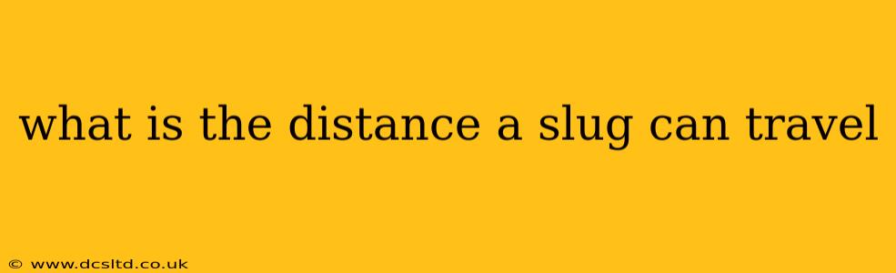 what is the distance a slug can travel
