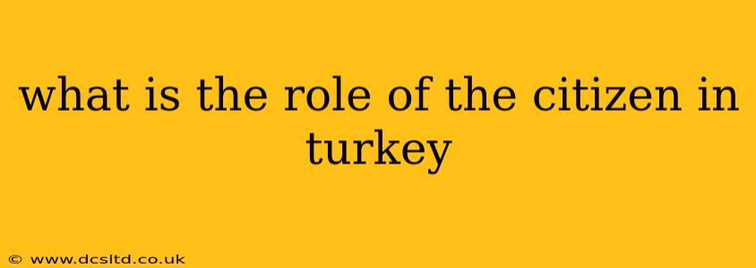 what is the role of the citizen in turkey