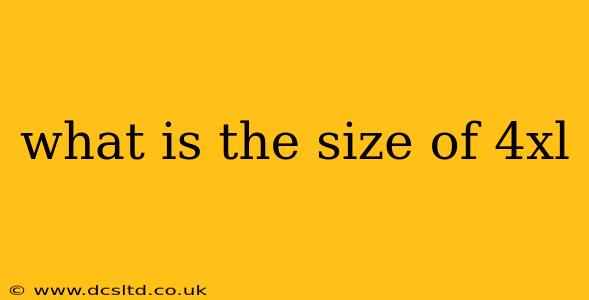 what is the size of 4xl
