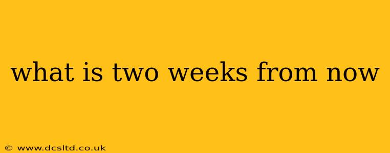 what is two weeks from now