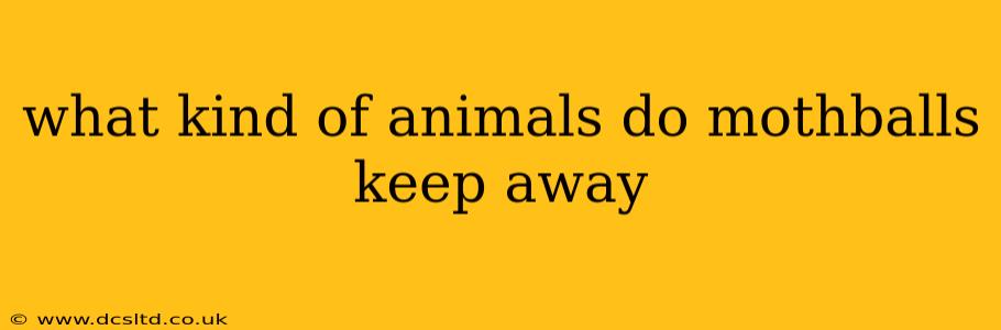 what kind of animals do mothballs keep away