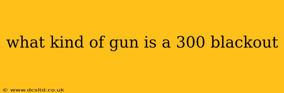 what kind of gun is a 300 blackout