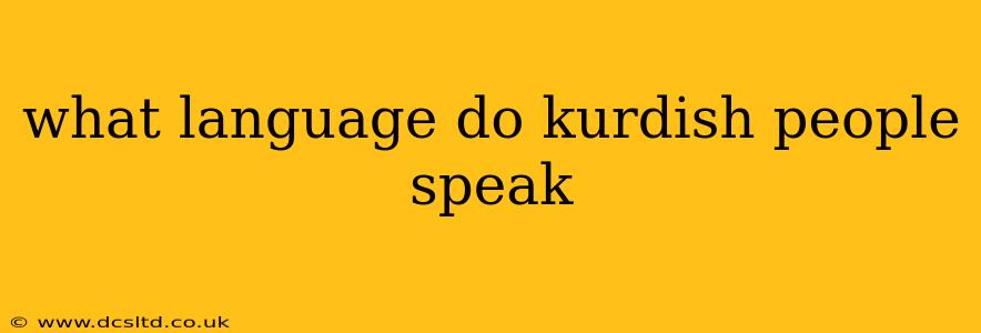 what language do kurdish people speak